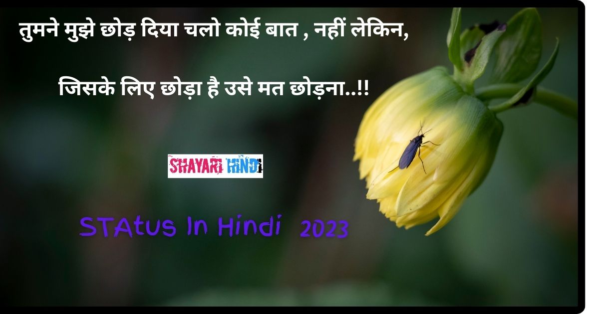 Status In Hindi