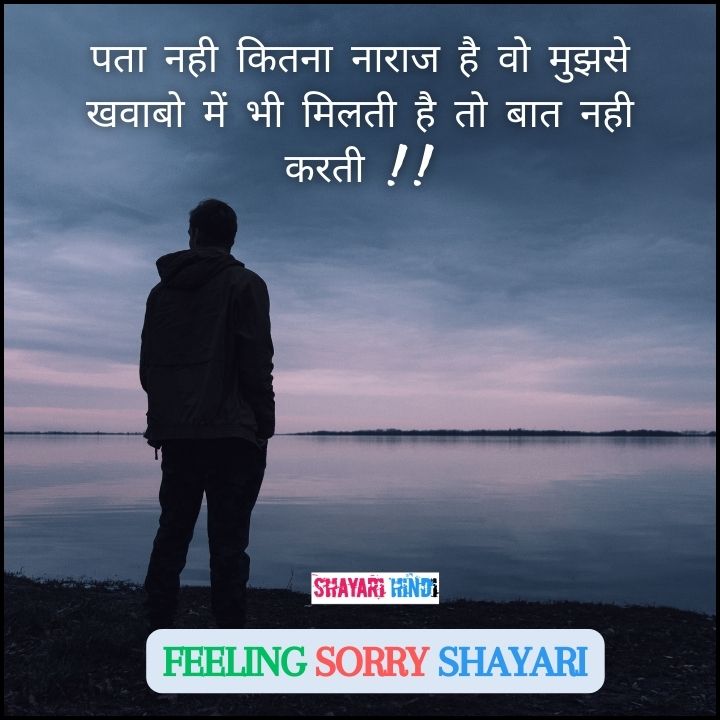 Feeling sorry shayari