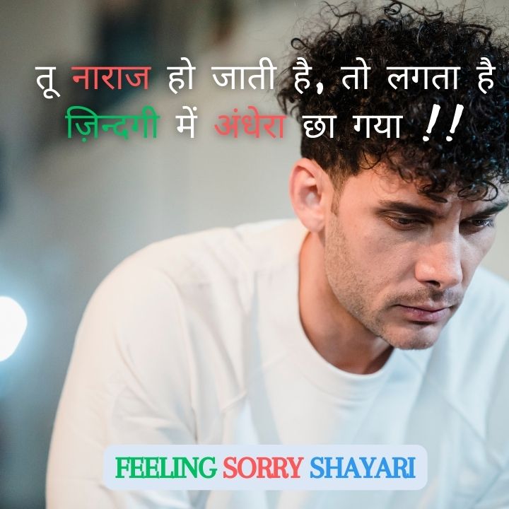 Feeling sorry shayari