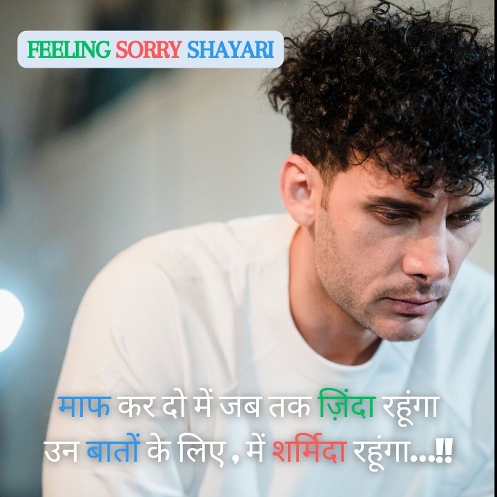 Feeling sorry shayari