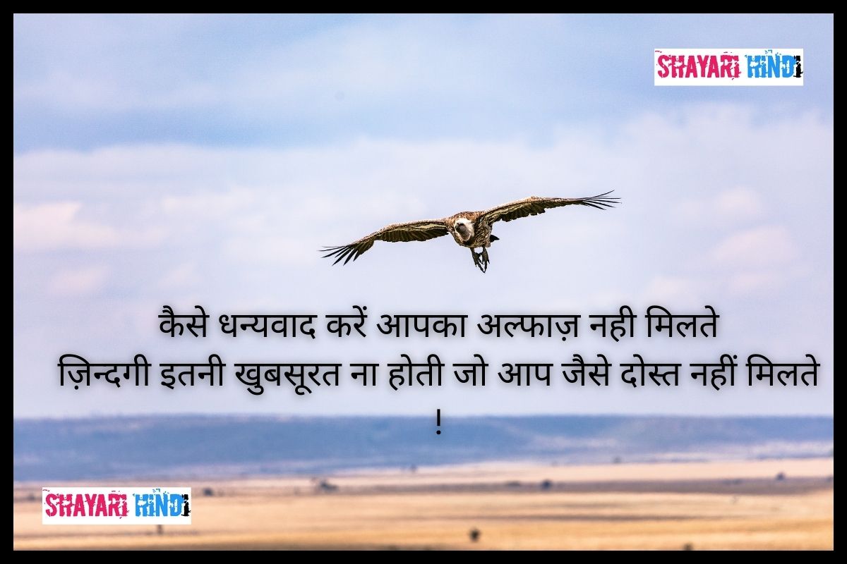 thank you shayari