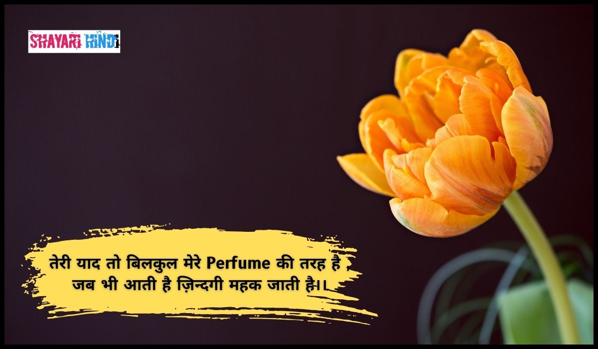 Instagram Captions in Hindi