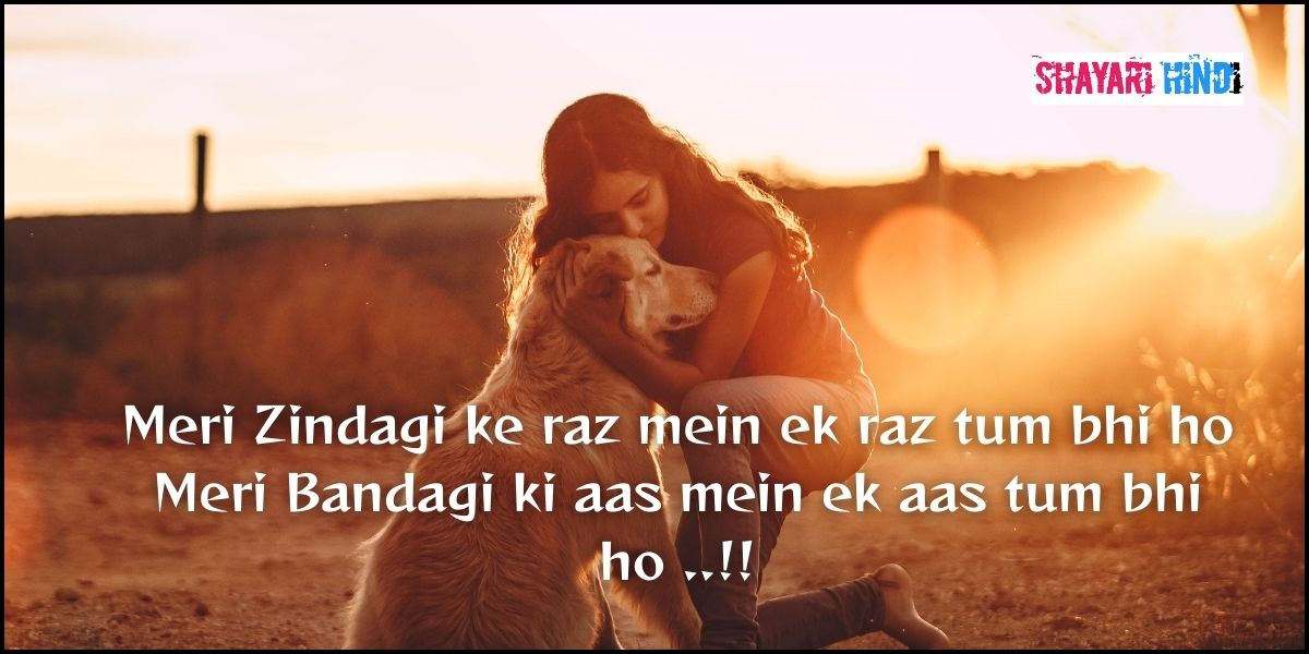 love shayari in english