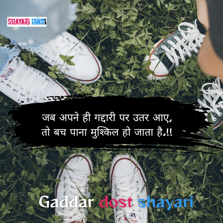 Gaddar dost shayari